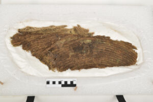 Restes d'une vannerie provenant du site de Lavau après passage à ARC-Nucléart